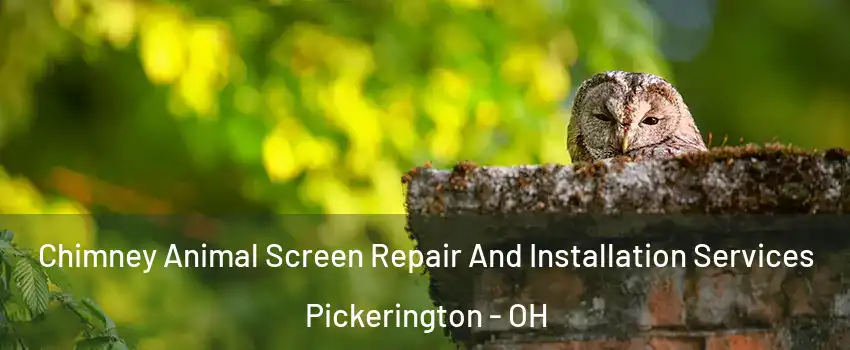  Chimney Animal Screen Repair And Installation Services Pickerington - OH