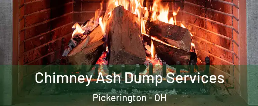  Chimney Ash Dump Services Pickerington - OH