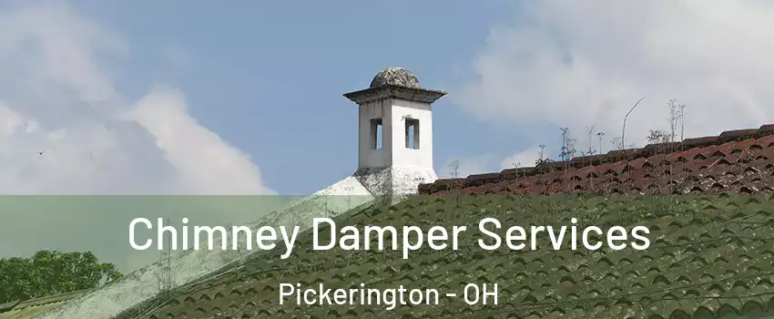  Chimney Damper Services Pickerington - OH
