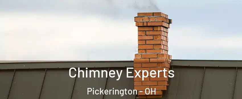  Chimney Experts Pickerington - OH
