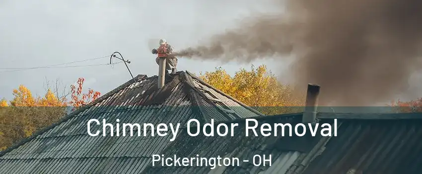  Chimney Odor Removal Pickerington - OH