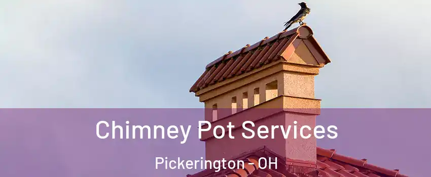  Chimney Pot Services Pickerington - OH