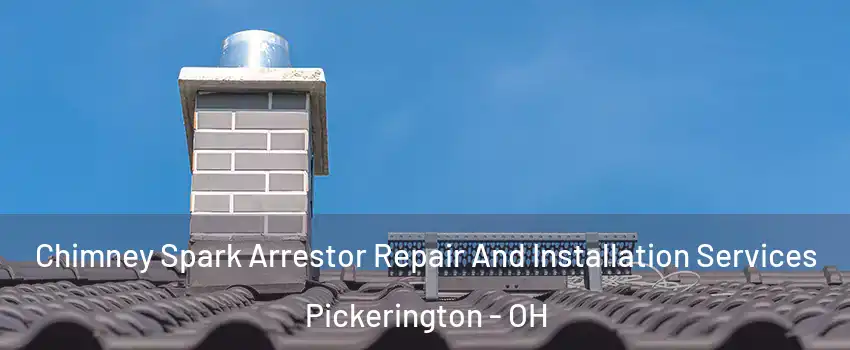  Chimney Spark Arrestor Repair And Installation Services Pickerington - OH