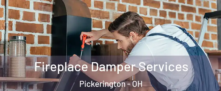  Fireplace Damper Services Pickerington - OH
