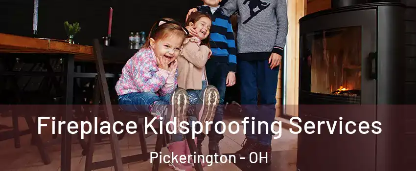  Fireplace Kidsproofing Services Pickerington - OH
