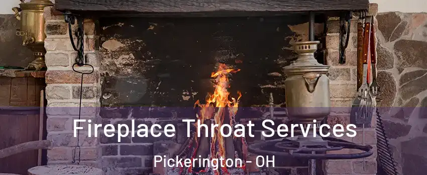  Fireplace Throat Services Pickerington - OH