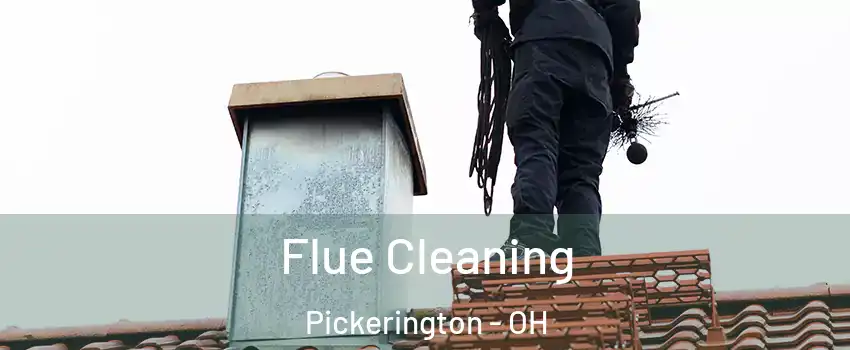  Flue Cleaning Pickerington - OH