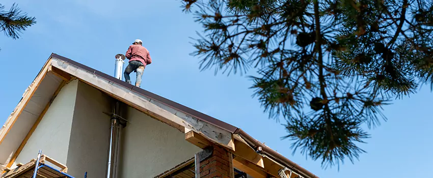 Birds Removal Contractors from Chimney in Pickerington, OH