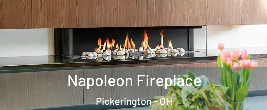  Napoleon Fireplace Pickerington - OH