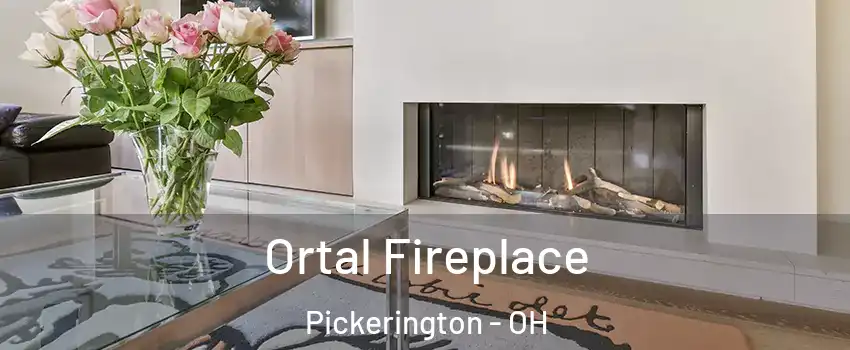  Ortal Fireplace Pickerington - OH