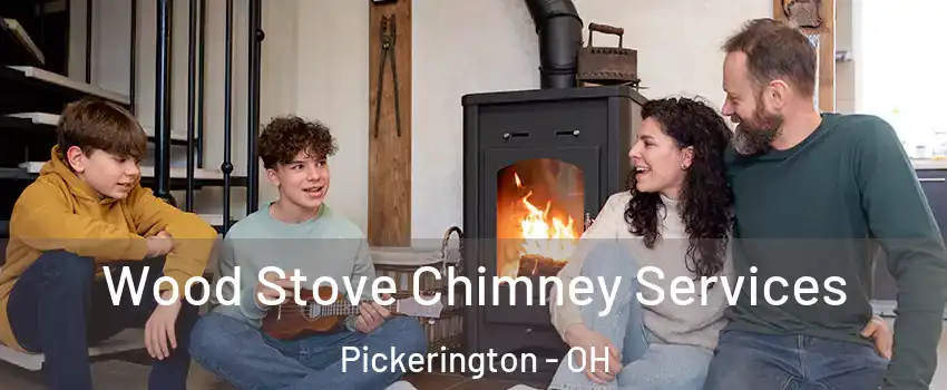  Wood Stove Chimney Services Pickerington - OH
